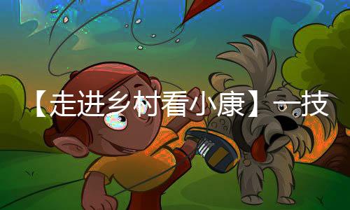 【走进乡村看小康】一技握在手 致富路上走